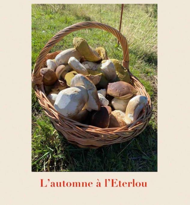 L'Eterlou Authentique Partie De Corps De Ferme 10Pers. Vila Targassonne Exterior foto